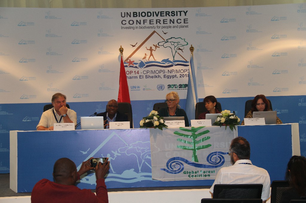 مؤتمر الأطراف الرابع عشر خاص بمنصة المناخ بالعربى