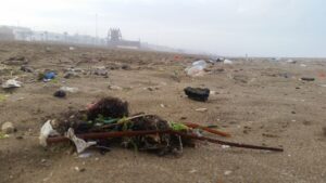 النفايات البلاستيكية "الخطر القاتل القادم بصمت"
